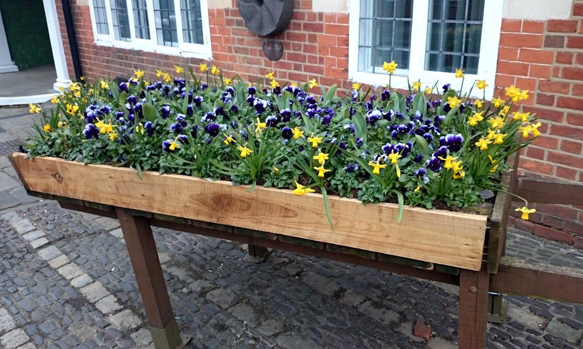 Five Interesting Places to Visit in Farnham | Thunderbolt