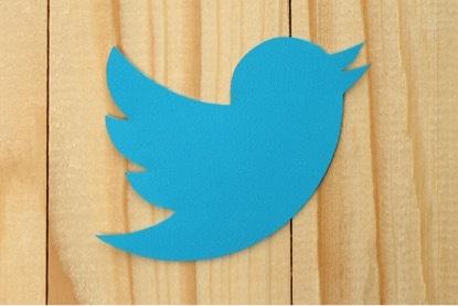 Twitter Bird Logo | Social Media Surrey | Thunderbolt